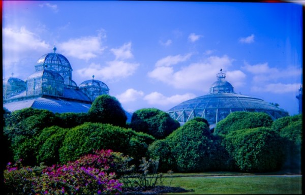 koninklijke serres en tuinen Brussel